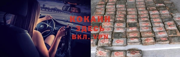 ПСИЛОЦИБИНОВЫЕ ГРИБЫ Верхнеуральск