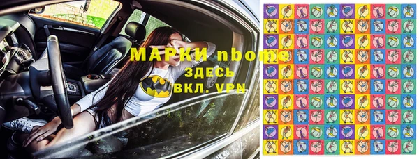 гидра Богородск
