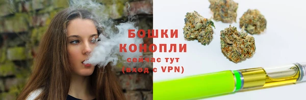 ПСИЛОЦИБИНОВЫЕ ГРИБЫ Верхнеуральск