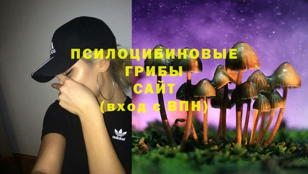 mdpv Верея