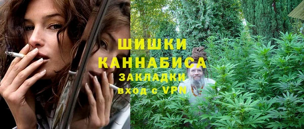 гидропоника Бородино