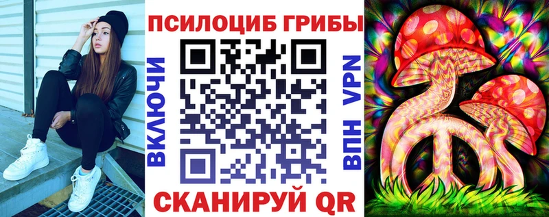 купить  цена  Кашин  Галлюциногенные грибы ЛСД 